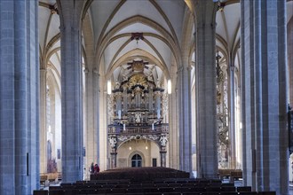 Church of St, Severi Erfurt, main organ, Erfurt, Thuringia, Germany, Europe