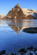 Fjord with ice floes in front of steep mountains, reflection, morning light, Kjerkfjorden, winter,