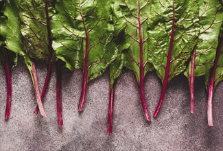 Fresh, green leaves, stem with beet leaves, on the table, top view, rustic, no people