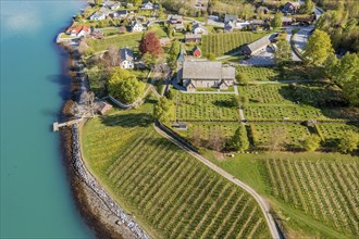 Aerial view of church and apple orchards, Ullensvang near Lofthus, Hardangerfjord, Norway, Europe