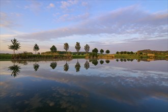 Lake in spring with row of trees and reflection at sunset, Drei Gleichen, Ilm-Kreis, Thuringia,