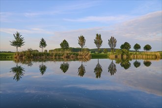 Lake in spring with row of trees and reflection, Drei Gleichen, Ilm-Kreis, Thuringia, Germany,