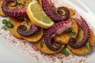 Octopus with potatoes and spices, on a light plate, top view, no people, homemade, close-up