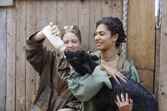 Young woman giving a lamb a bottle of milk in her arms, North Sea island of Borkum, 18.05.2024.