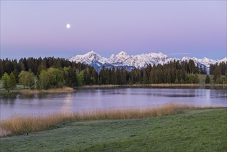 Hegratsrieder See near Füssen, AllgÃ¤u Alps, snow, moon, dawn, AllgÃ¤u, Bavaria, Germany, Europe