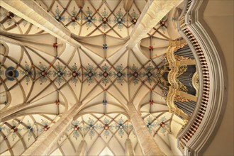 View upwards to the Gottfried Silbermann organ and ceiling vault in St. Mary's Cathedral,