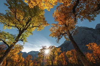 Landscape, autumn, trees, sun, sun star, colourful, discolouration, maple, mountains, nature,