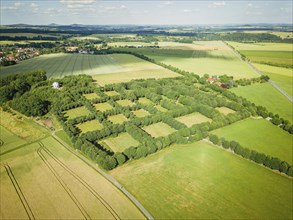 Herrnhut God's field