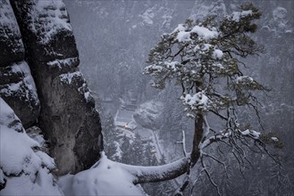 Saxon Switzerland