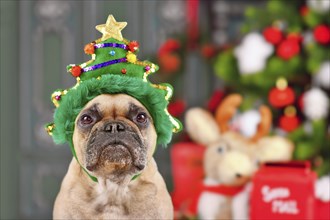 French Bulldog dog wearing funny Christmas tree headband