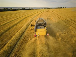 Grain harvest in a field near Babisnau on the outskirts of Dresden