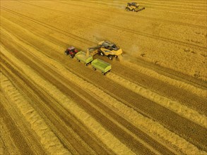 Grain harvest in a field near Babisnau on the outskirts of Dresden