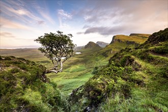 View of rocky landscape Quiraing, Trotternish Ridge, Highlands, Isle of Skye, Inner Hebrides,