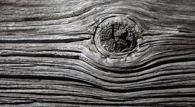 Old weathered wooden plank with knothole on a wooden wall, Upper Austria, Austria, Europe