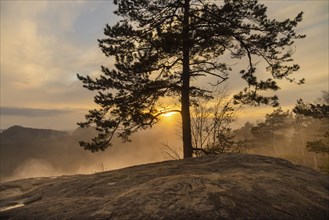 Elbe Sandstone Mountains