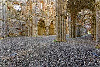 View from the crossing into the nave and side aisles, church ruins of the Cistercian Abbey of San