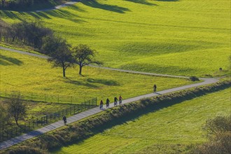 Diesbar SeuÃŸlitz Elbauen