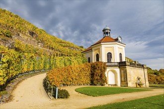 Wackerbarth Castle State Winery in Autumn, Belvedere