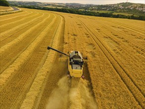 Grain harvest in a field near Babisnau on the outskirts of Dresden