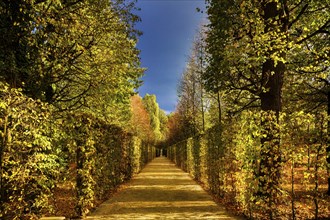 Grossedlitz Baroque Garden