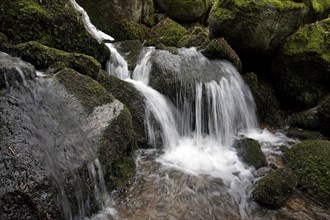 Moss-covered rocks, waterfalls, Geishöll waterfalls, In der Geishöll, near Sasbachwalden, Black