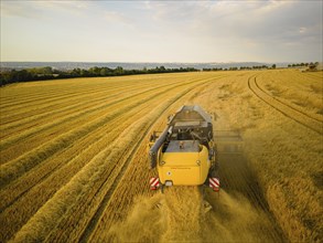 Grain harvest in a field near Babisnau on the outskirts of Dresden