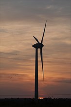 Wind power plant, sunset, Melbeck, Samtgemeinde Ilmenau, Lower Saxony, Germany, Europe