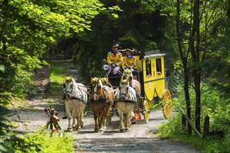 8th stagecoach meeting in Grillenburg