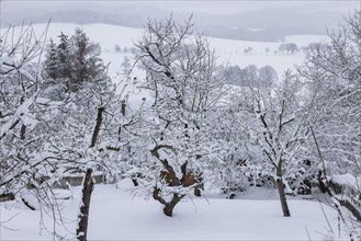 Augustusburg Hunting Lodge in the wintry Ore Mountains