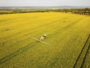 Crop protection products are applied to a rapeseed field on the outskirts of Dresden