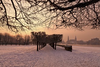 Dresden morning fog over the Elbe