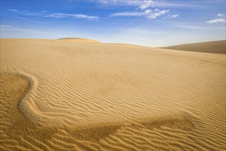 White sand dunes desert on sunrise, Mui Ne, Vietnam, Asia