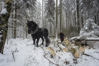 Winter in the Ore Mountains