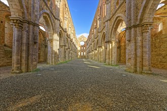 Nave, crossing and choir, church ruins of the Cistercian Abbey of San Galgano, Abbazia San Galgano,