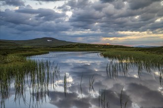 Lake in the landscape of the Hardangervidda plateau, Norway, Europe