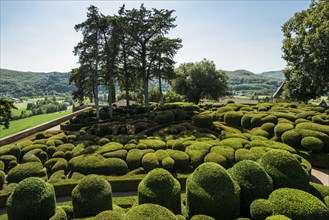 Boxwood garden, Les Jardins de Marqueyssac, Vezac, Dordogne, Périgord, Département Dordogne, Region