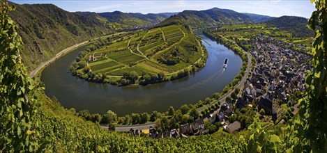 Moselle loop with vineyards and Saint Laurentius Church from the Bremmer Calmont via ferrata,