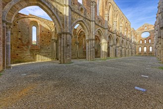 Nave, crossing and choir, church ruins of the Cistercian Abbey of San Galgano, Abbazia San Galgano,