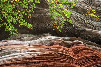 Eroded red sandstone, old castle rock, close-up, natural and cultural monument, Brechenberg near