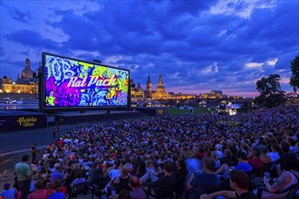 Film Nights on the banks of the Elbe