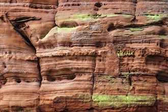 Eroded red sandstone, old castle rock, close-up, natural and cultural monument, Brechenberg near