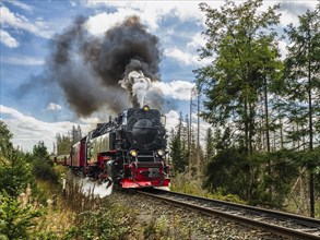 Railway at mountain Brocken, mountain range of Harz, Sachsen-Anhalt, Germany, Europe