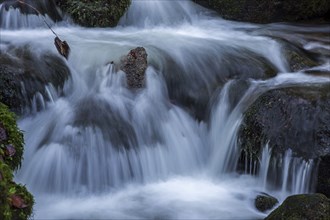 Gertelbach, Gertelbach Waterfalls, Gertelbach Falls, close-up, Gertelbach Gorge, Bühl, Bühlertal,