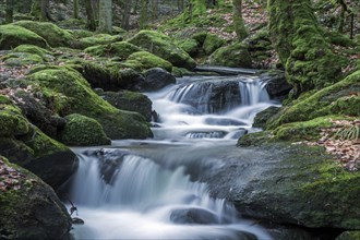 Gertelbach, Gertelbach Waterfalls, Gertelbach Falls, Gertelbach Gorge, Bühl, Bühlertal, Northern