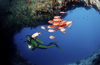 Scuba diver and white-fringed soldierfish, underwater cave, Myripristis murdjan, Maldives, Indian