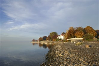 Castle harbour of the royal summer residence in Friedrichshafen on Lake Constance