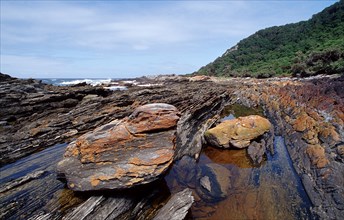 Rugged rocky coast, South Africa, Tsitsikamma National Park, Otter trail, Africa