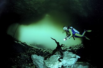 Cave diving Laguna Pepe, Punta Cana, freshwater, Dominican Republic, Central America