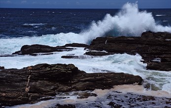 Rugged rocky coast, South Africa, Tsitsikamma National Park, Otter trail, Africa