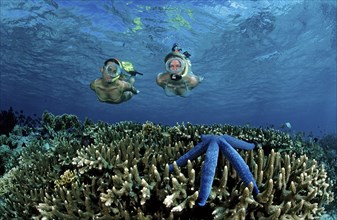 Two woman snorkelling, Bali, Indian Ocean, Indonesia, Asia